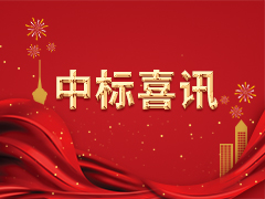 中标政府项目一览